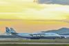 Crane Worldwide charters AN-225