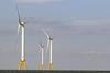BOEM sets date for Gulf of Mexico offshore wind auction