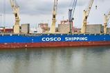 COSCO MPP general