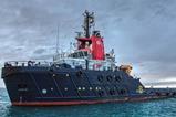 Boluda towage buys Boskalis Australia and PNG division