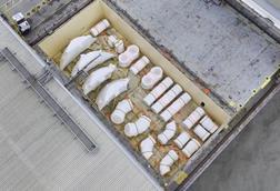 Baggio delivers project cargo from China to Brazil