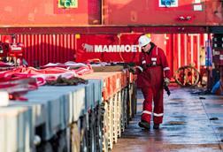 Mammoet stock - SPMT inspection