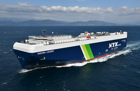 NYK-Green-2022